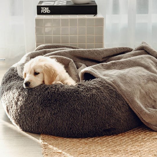 Double Weighted Luxury Blanket - Image 9