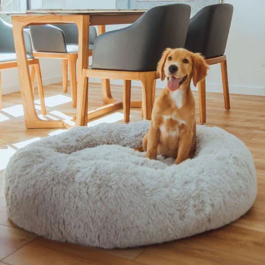 Calming Dog Bed & Weighted Blanket Bundle - Image 3