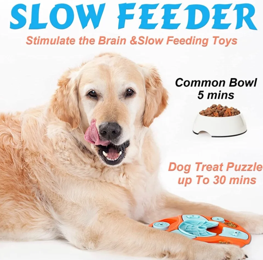 Brain Boosting Toys for Active Dogs - Image 5