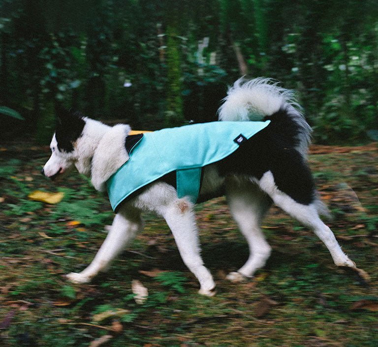 Mint | Winter Coat - Image 9