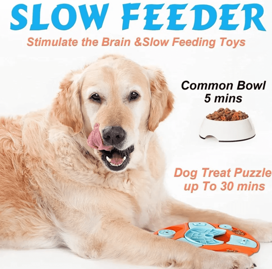 Brain Boosting Toys for Active Dogs - Image 5
