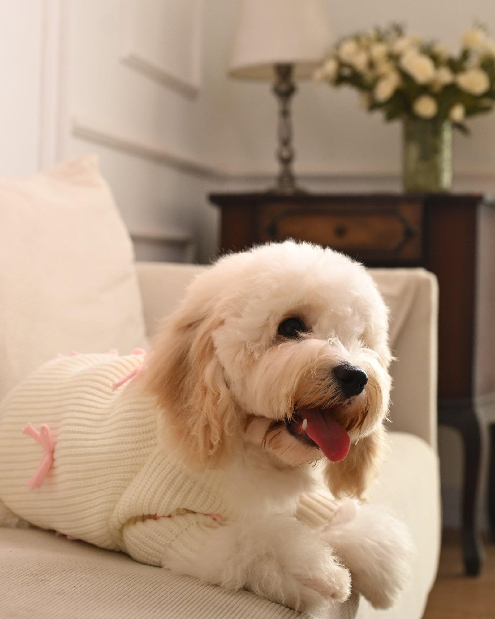 Pink Bow-3D Motif Pet Sweater - Image 2