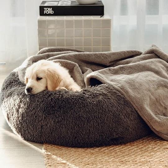 Bouclé Dog Bed & Weighted Blanket Bundle - Image 4