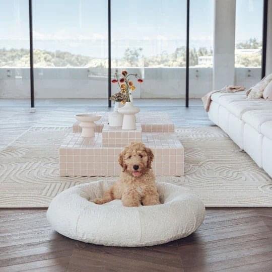 Bouclé Dog Bed & Weighted Blanket Bundle - Image 2