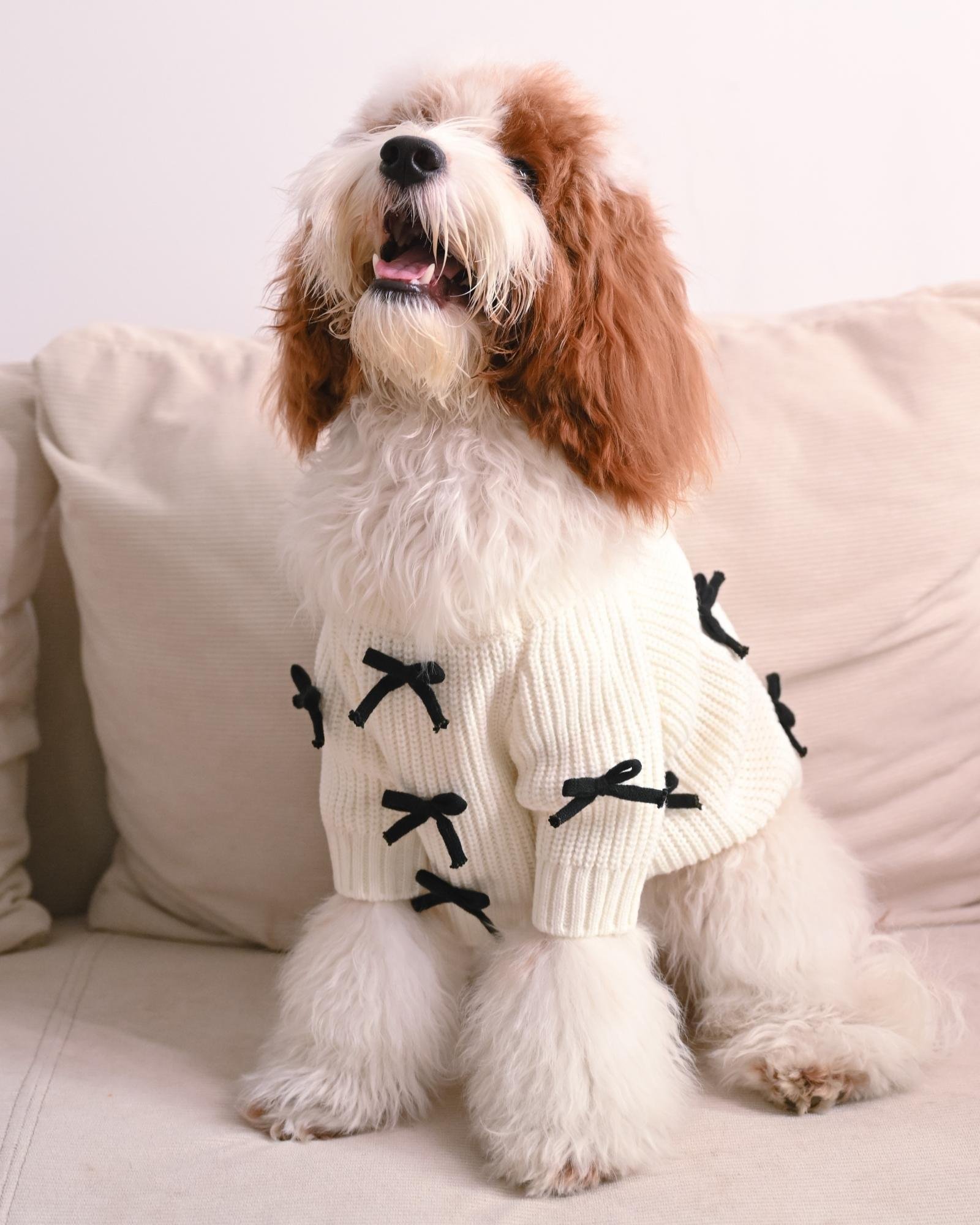 Premium Black 3D Bow Design Winter Sweater for Pets