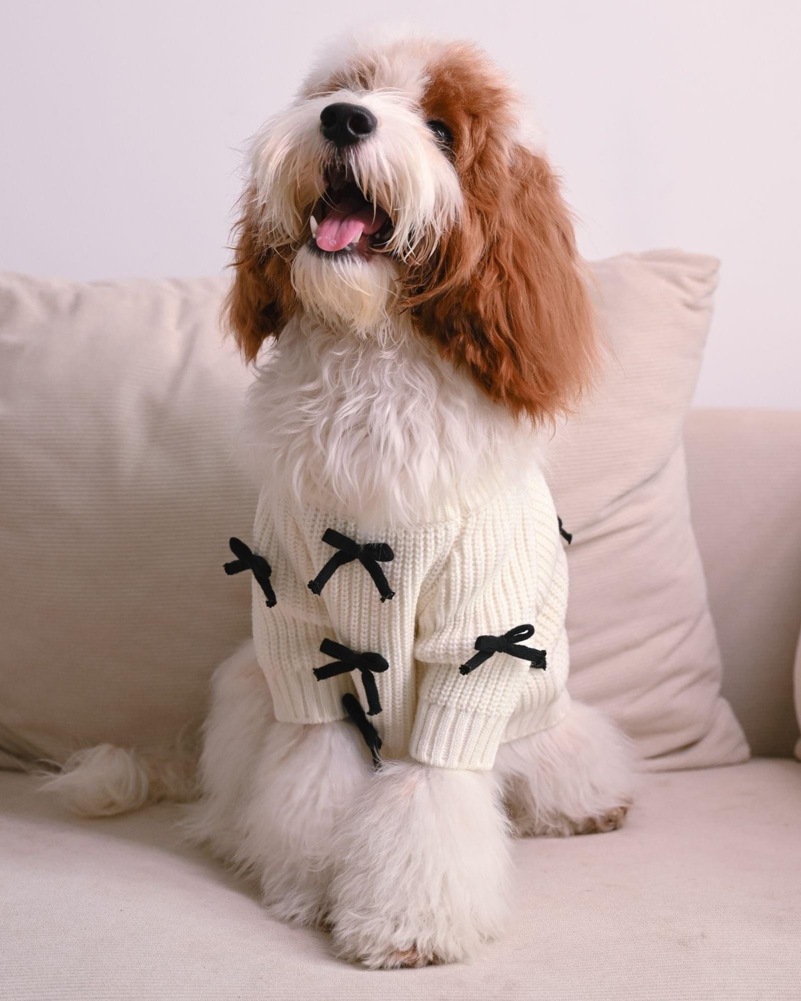 Premium Black 3D Bow Design Winter Sweater for Pets - Image 2